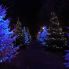 Alberi di Natale