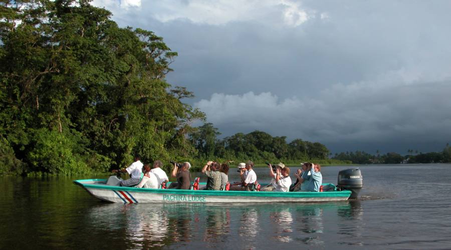 Tour nel Parco nazionale Tortuguero