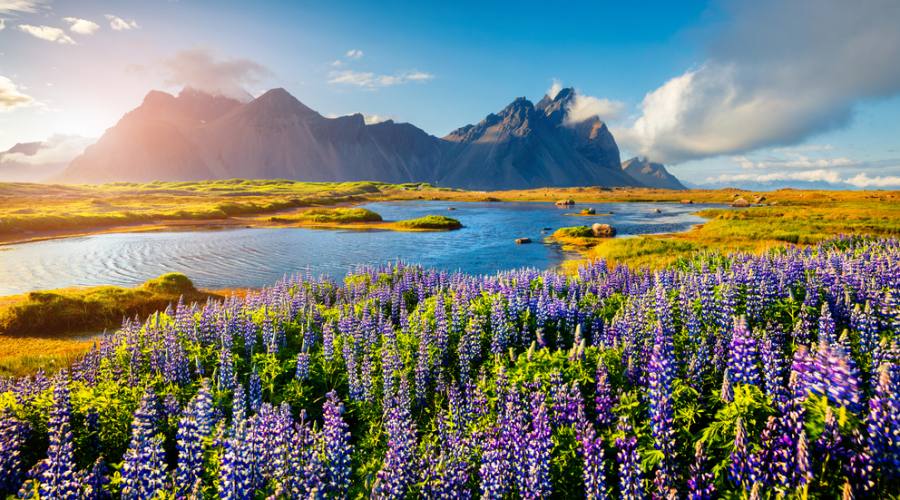 Stokksnes 