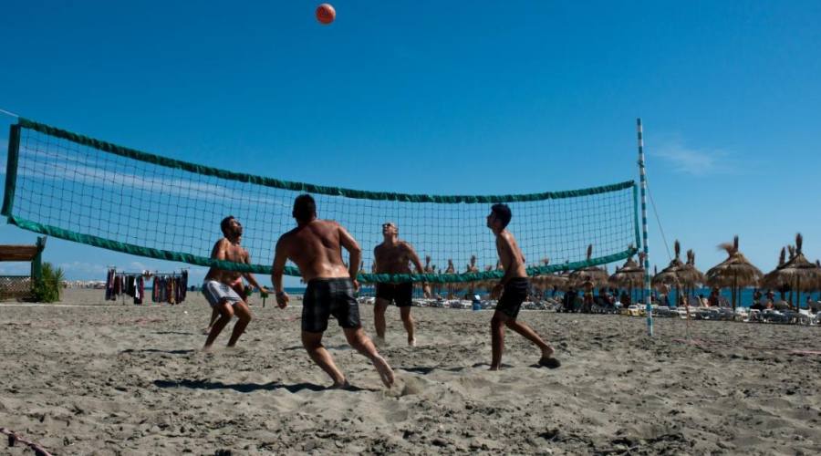 Sport