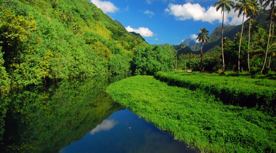 Paesaggio di Tahiti