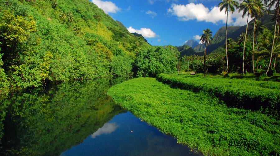 Meraviglioso paesaggio in Tahiti
