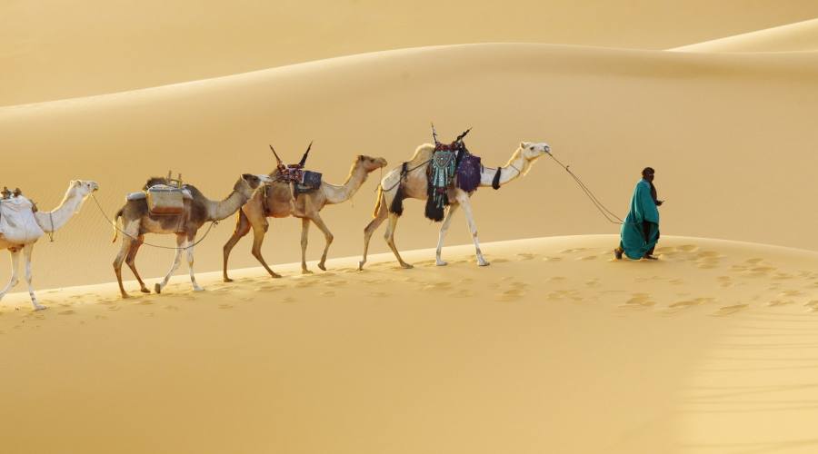 Enorme duna del deserto