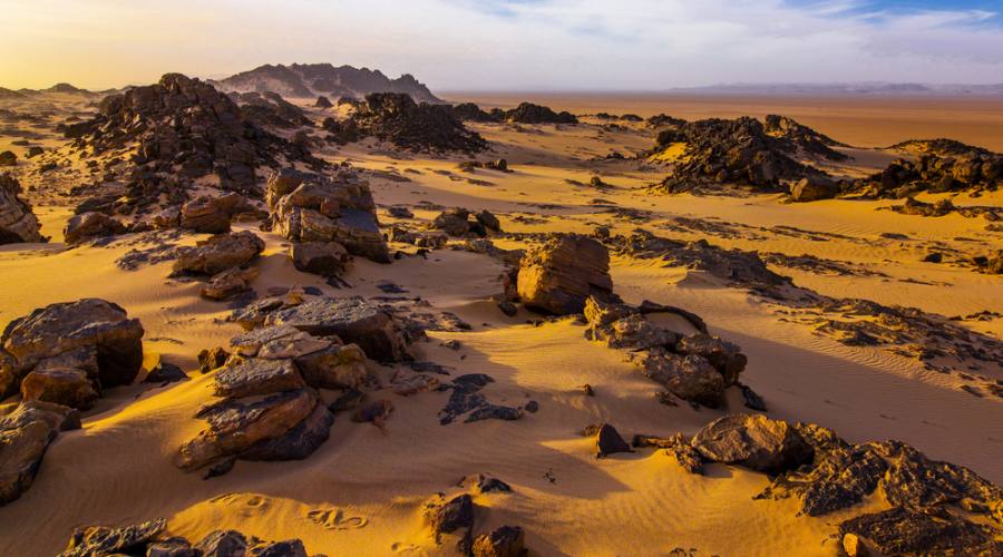 Sahara