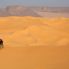Il deserto