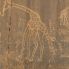Pitture rupestri in Ajjer