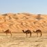Deserto in Algeria