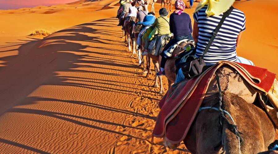 Viaggio nel Sahara