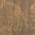 Pitture rupestri in Ajjer