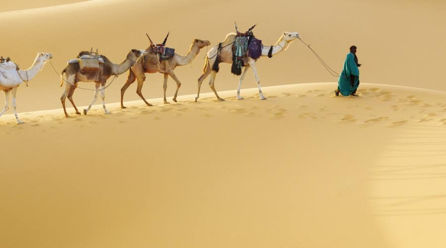 Dune enorme nel deserto