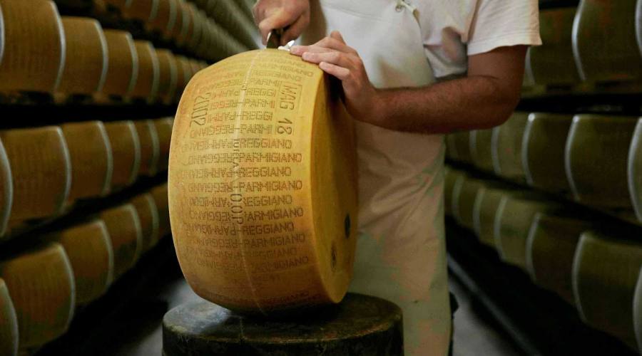 parmigiano reggiano