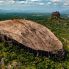 Pidurangala e Sigiriya