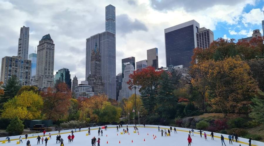 Central Park d'inverno