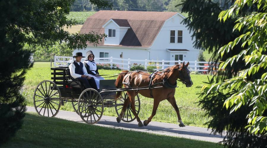 carrozza Amish