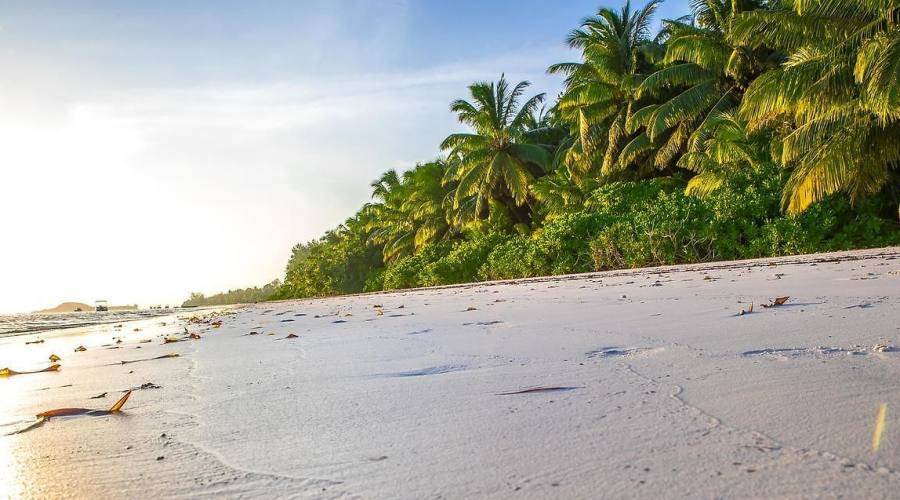 Spiaggia di Grand Anse