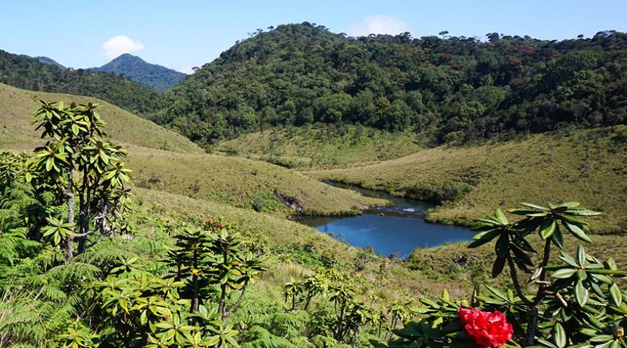 Horton Plains