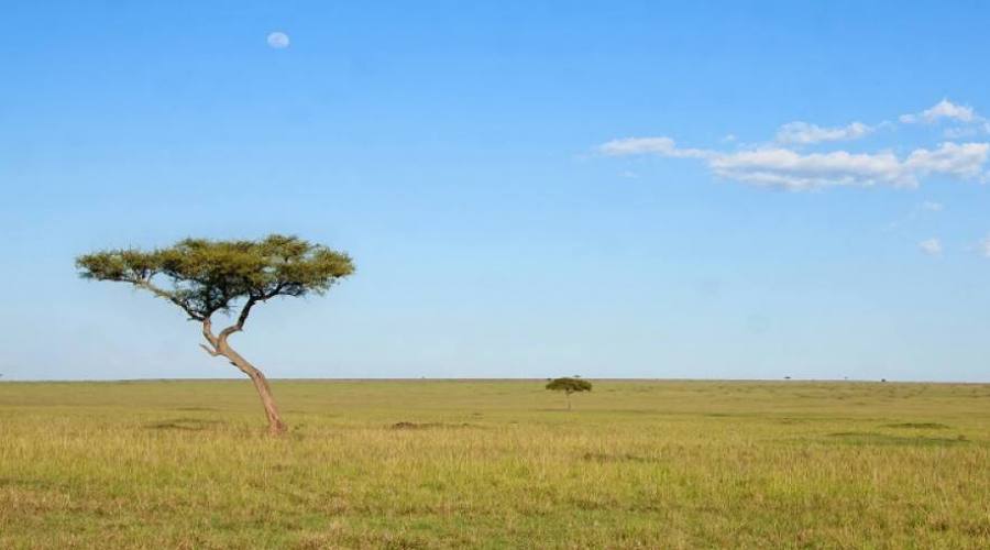 Infinita distesa al Serengeti