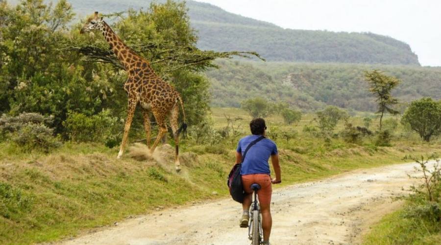 Safari in bici a Hell's Gate
