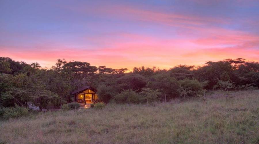 Sarova Mara Camp