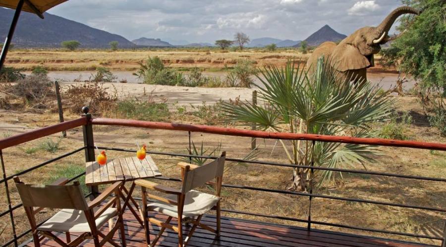 Ashnil Samburu Camp