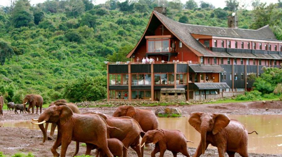 The Ark Lodge