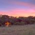 Sarova Mara Camp