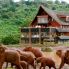 The Ark Lodge