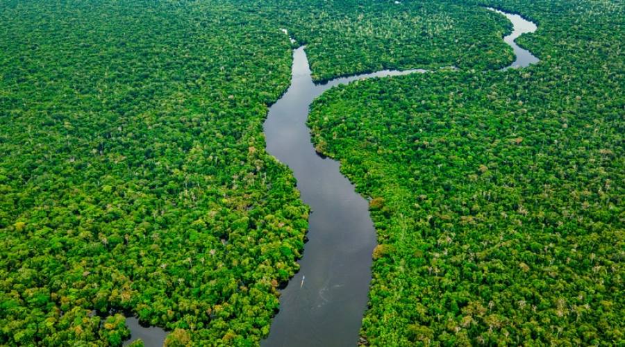 Vista aerea dell'Amazzonia