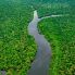 Vista aerea dell'Amazzonia