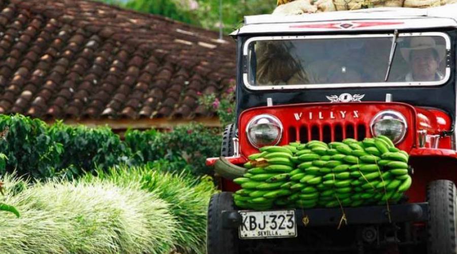 La mitica Willis, la jeep tuttofare in Colombia