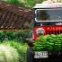La mitica Willis, la jeep tuttofare in Colombia