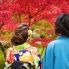 Coppia a Kyoto in autunno