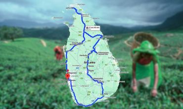 L’essenza della Lacrima dell’India