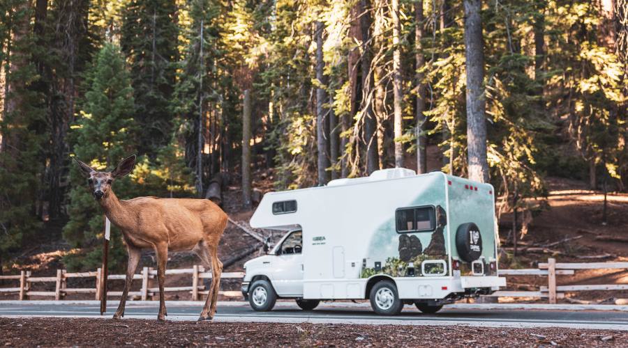 California on the road in camper