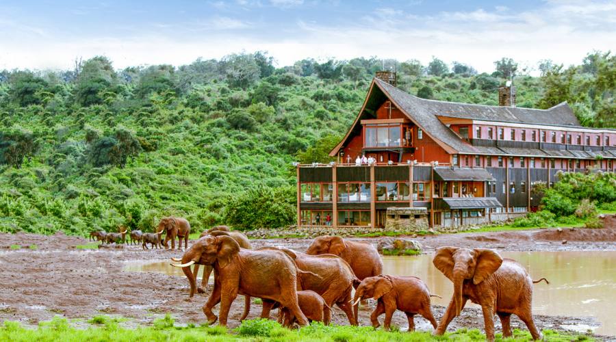 Ark Lodge