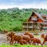 Ark Lodge