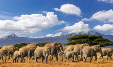 Kili Safari in Glamping Style, 6 giorni e 5 notti