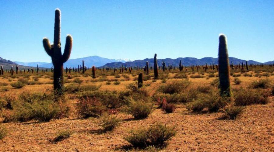 Parque Nacional Los Cordones