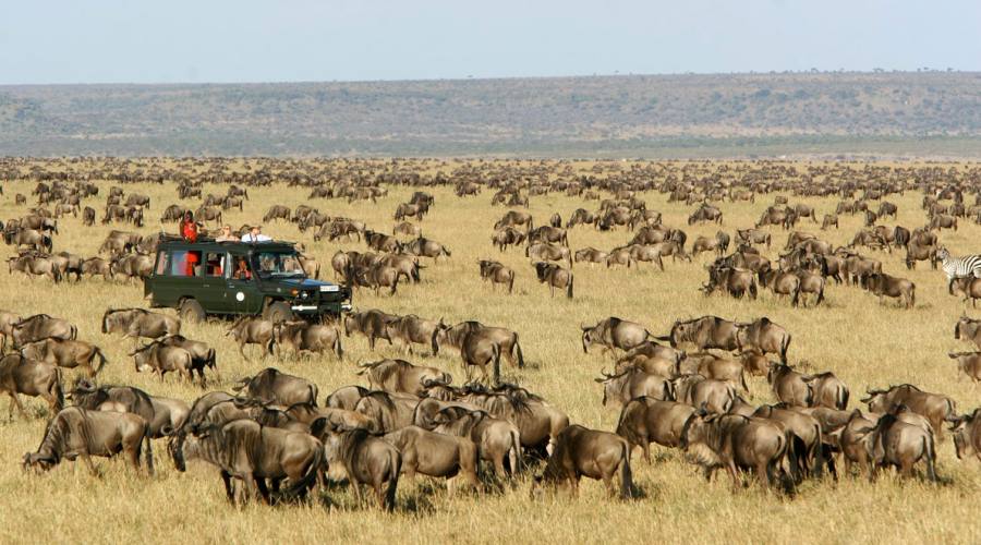 Masai Mara