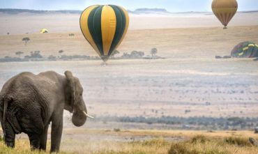 Naivasha e Masai Mara, Safari 4 giorni e 3 notti