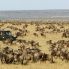 Masai Mara