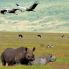 Ngorongoro conservation area
