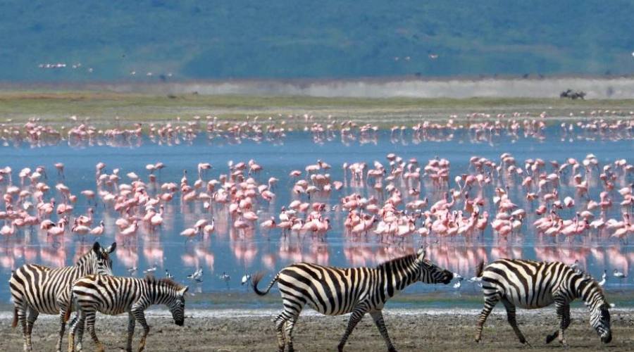 Ngorongoro conservation area