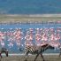 Ngorongoro conservation area