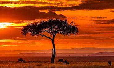 I colori dell'Africa: safari 6 giorni e 5 notti