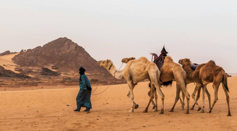 Deserto algerino