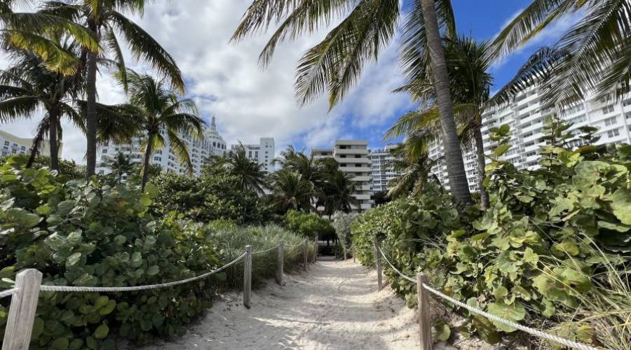Sendero de la playa de Miami