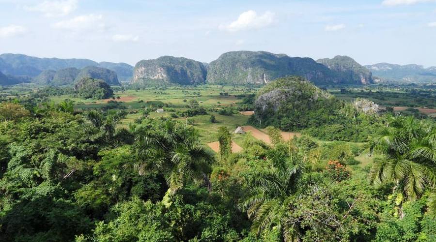 Plantaciones de tabaco de Viñales