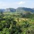 Plantaciones de tabaco de Viñales