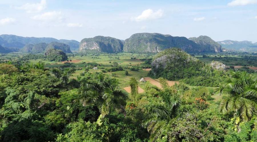 Plantaciones de tabaco de Viñales